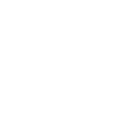 Logo Webcam Des aravis